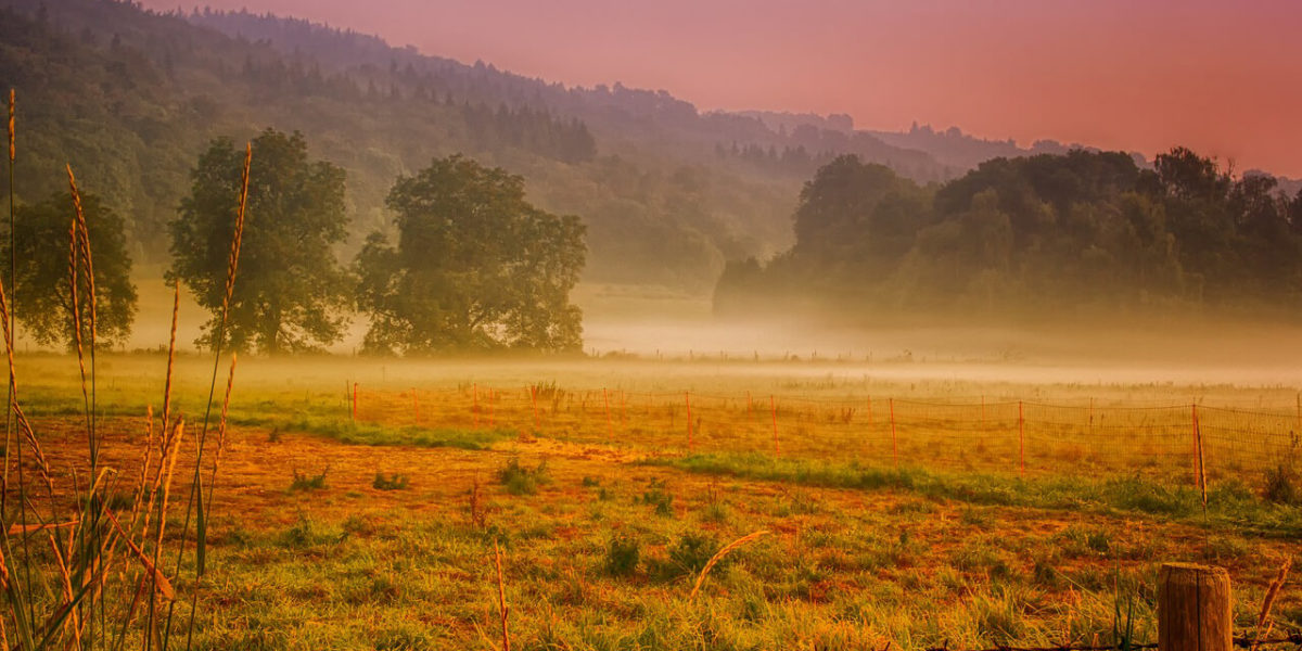 view of a field with fence posts in the distance - from Setting Business Goals - Where to Look Makes a Difference by Truby Achievements