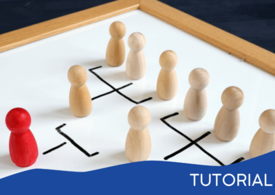 TMS Step 3: Using Structure to Lead a Company