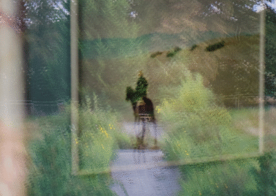 Seeing Things That Aren’t There (Truby Tip about Assumptions)